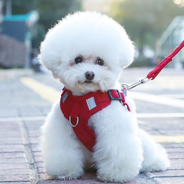 dog towing rope solid harnesses nylon leashes walk the dogs pet collars pets supplies chest straps night time reflective leash
dog towing rope solid harnesses nylon leashes walk the dogs pet collars pets supplies chest straps night time reflective leash