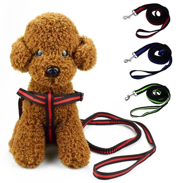 dog collars & leashes leash buffer elasticity short traction rope reflective pet pull stretch lead for small medium large dogs
dog collars & leashes leash buffer elasticity short traction rope reflective pet pull stretch lead for small medium large dogs