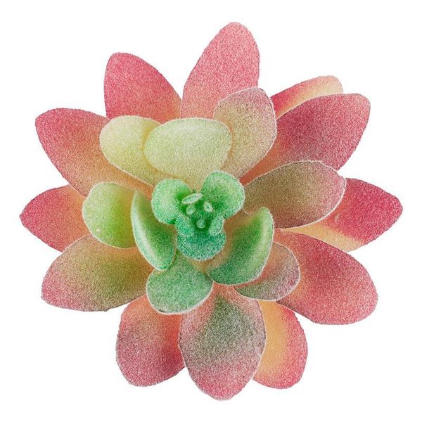 decorative flowers & wreaths simulation plants aloe artificial succulent cactus landscape fake lotus faux flower diy creative party accessor
decorative flowers & wreaths simulation plants aloe artificial succulent cactus landscape fake lotus faux flower diy creative party accessor
