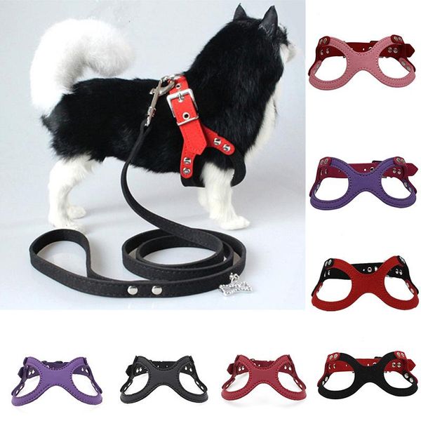 dog collars & leashes personalized small harness adjustable straps products for dogs vest suede microfiber leather material
dog collars & leashes personalized small harness adjustable straps products for dogs vest suede microfiber leather material