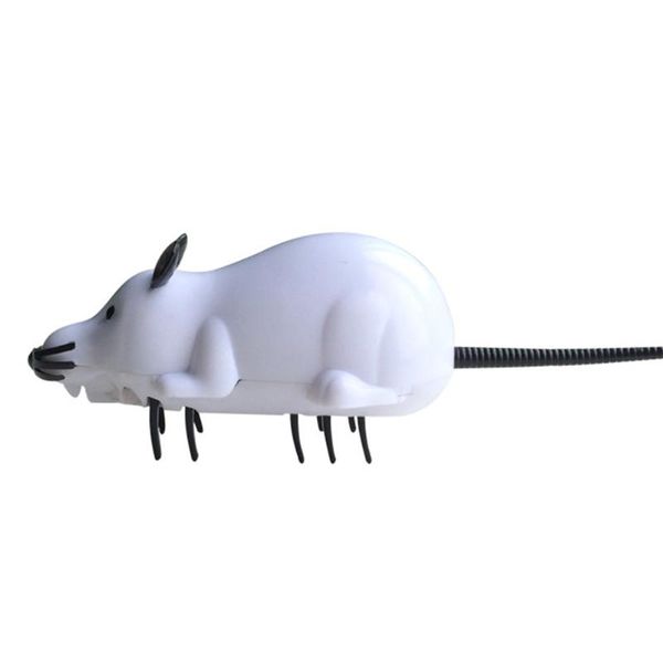 cute pet insect ant mouse design electric cat interactive playing funny toy new
cute pet insect ant mouse design electric cat interactive playing funny toy new