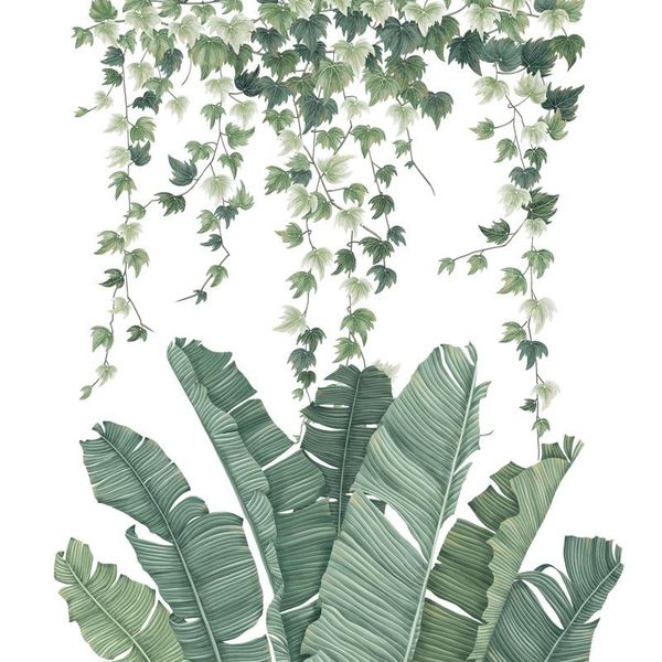 wall stickers green banana leafs tropical plants leaves wallpaper, removable decal diy mural decor for living room
wall stickers green banana leafs tropical plants leaves wallpaper, removable decal diy mural decor for living room
