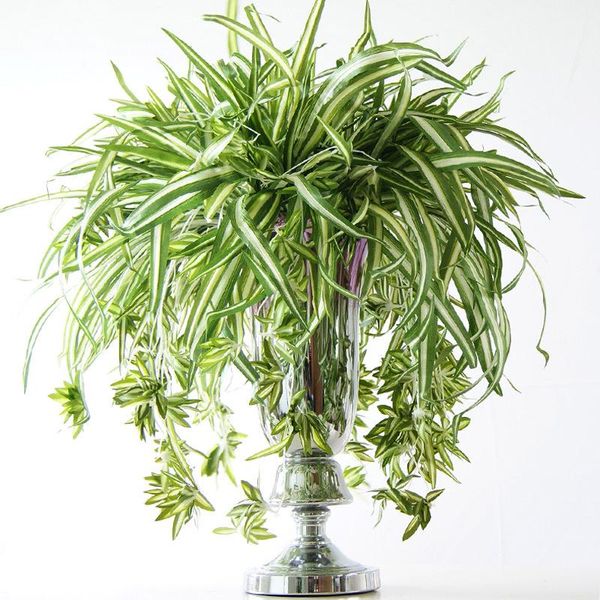 65cm 5 fork artificial hanging plants green leaves tropical fake airplant grass bouquet silk leafs wall for wedding home decor
65cm 5 fork artificial hanging plants green leaves tropical fake airplant grass bouquet silk leafs wall for wedding home decor