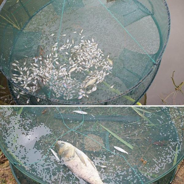 fishing accessories foldable bait cast net 50cm portable landing shrimp mini crab floating cage fish catching n s1e7
fishing accessories foldable bait cast net 50cm portable landing shrimp mini crab floating cage fish catching n s1e7