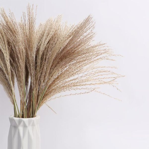 decorative flowers & wreaths 50pcs dried small pampas grass wedding flower bunch natural plants home decor phragmites ornamental
decorative flowers & wreaths 50pcs dried small pampas grass wedding flower bunch natural plants home decor phragmites ornamental