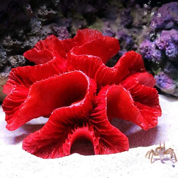 decorations x7xd aquarium coral ornaments diy fish tank decoration red artificial resin ornament eco-friendly safe and harmless
decorations x7xd aquarium coral ornaments diy fish tank decoration red artificial resin ornament eco-friendly safe and harmless