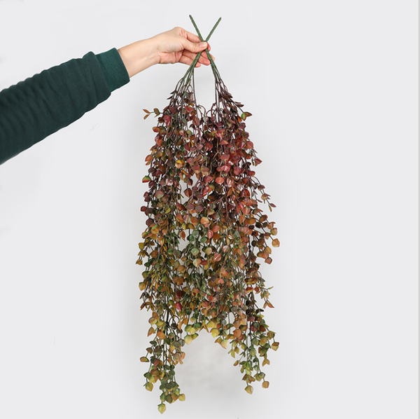 decorative flowers & wreaths artificial plants wall decoration plastic fake wedding hanging autumn leaves money
decorative flowers & wreaths artificial plants wall decoration plastic fake wedding hanging autumn leaves money