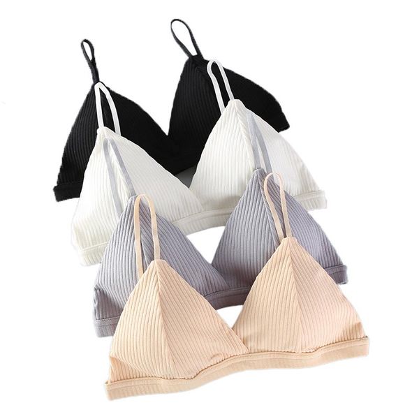 women soft bralette deep v seamless bras for wireless push up bra blackless underwear ladies lingerie bralette crop new, Red;black
women soft bralette deep v seamless bras for wireless push up bra blackless underwear ladies lingerie bralette crop new, Red;black