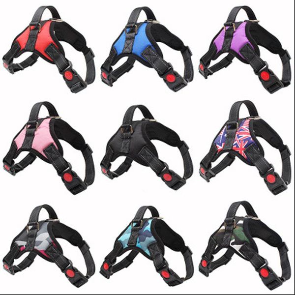 dog collars & leashes pet chest belt lead rope explosion-proof large leash, a variety of colors can be selected, multiple specificatio
dog collars & leashes pet chest belt lead rope explosion-proof large leash, a variety of colors can be selected, multiple specificatio