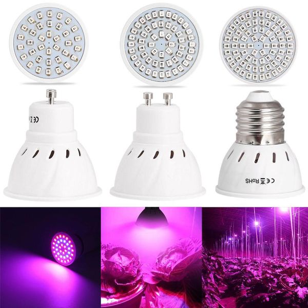 36/54/72 led grow light 110v/220v plant veg flower hydroponic aquarium bulb 6/8/10w led light for plant garden planting tool
36/54/72 led grow light 110v/220v plant veg flower hydroponic aquarium bulb 6/8/10w led light for plant garden planting tool