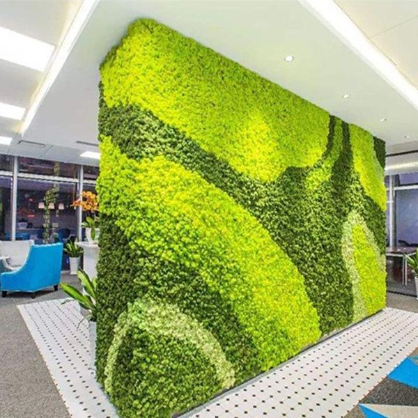 20g simulation plant moss fake dried flowers home living room decorative wall landscape diy 1 qylpvt
20g simulation plant moss fake dried flowers home living room decorative wall landscape diy 1 qylpvt