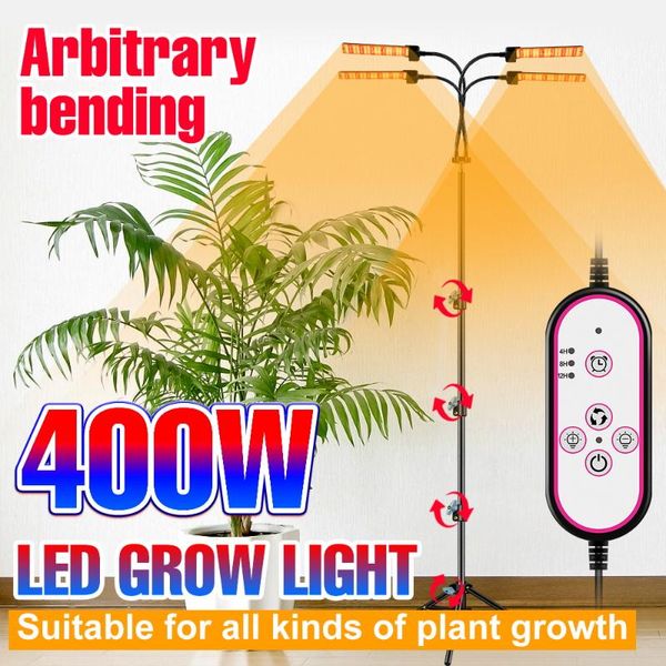 grow lights full spectrum led plant light dc 12v phyto lamps indoor flower growing box fitolampy 300w 400w flexible seedlings bulbs
grow lights full spectrum led plant light dc 12v phyto lamps indoor flower growing box fitolampy 300w 400w flexible seedlings bulbs