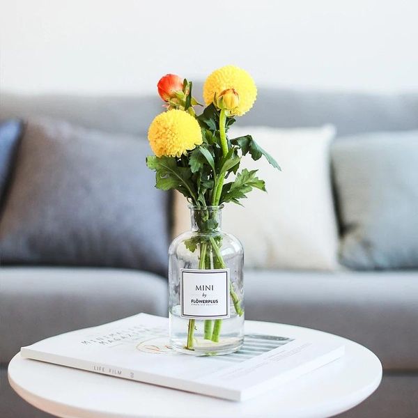 vases nordic feng hydroponic plant desksmall vase office water culture green fragrance bottle glass living room decora
vases nordic feng hydroponic plant desksmall vase office water culture green fragrance bottle glass living room decora