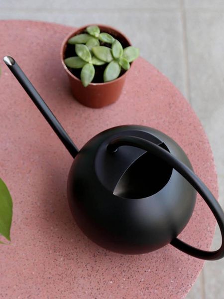 watering equipments 0.4l/1l metal can long spout jug small plant waterer sprinkling pot kettle for home garden flowers tools
watering equipments 0.4l/1l metal can long spout jug small plant waterer sprinkling pot kettle for home garden flowers tools