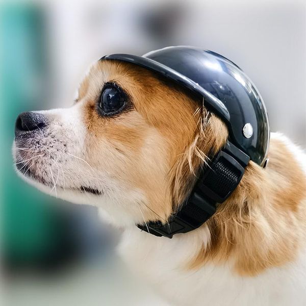 dog apparel est pet safety suit motorcycle helmet with sunglasses cool fashion hat plastic riding cap
dog apparel est pet safety suit motorcycle helmet with sunglasses cool fashion hat plastic riding cap