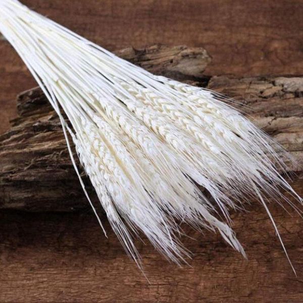 decorative flowers & wreaths 25pcs colorful wheat ear grass bouquets natural material party decor home diy for wedding small artificial plan
decorative flowers & wreaths 25pcs colorful wheat ear grass bouquets natural material party decor home diy for wedding small artificial plan