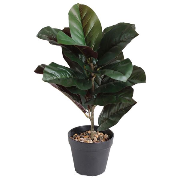 40cm artificial plants with pot ficus pandurata hance bonsai home decoration accessories living room gift shop pgraphy props
40cm artificial plants with pot ficus pandurata hance bonsai home decoration accessories living room gift shop pgraphy props