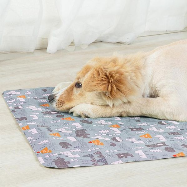 kennels & pens dog bed soft mat cooling summer pad for pet blanket sofa breathable dogs supplies cool sleeping
kennels & pens dog bed soft mat cooling summer pad for pet blanket sofa breathable dogs supplies cool sleeping