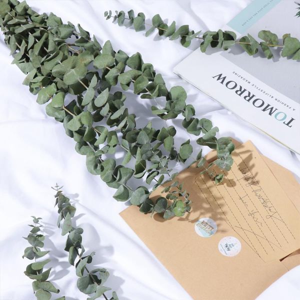 10 pcs/bouquet natural eucalyptus leaves branches stems dried flower real palnt diy wedding ornament party home decor supplies
10 pcs/bouquet natural eucalyptus leaves branches stems dried flower real palnt diy wedding ornament party home decor supplies