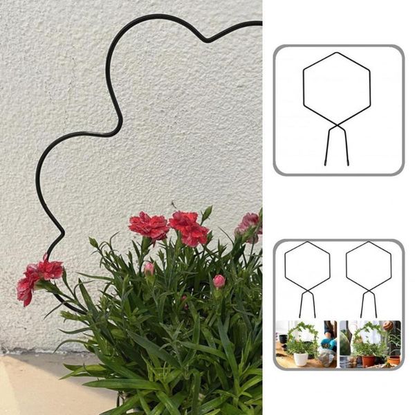 other garden supplies portable 2pcs reliable fine workmanship rustproof climbing stand stake wrought iron trellis decorative for home
other garden supplies portable 2pcs reliable fine workmanship rustproof climbing stand stake wrought iron trellis decorative for home