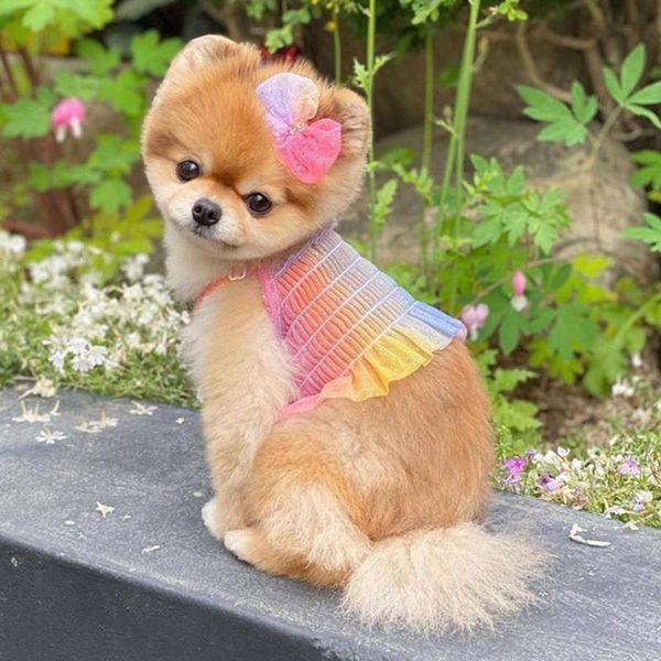 dog apparel casual soft puppy skirt two-legged sleeveless breathable skin-friendly multicolor small pet clothing supplies
dog apparel casual soft puppy skirt two-legged sleeveless breathable skin-friendly multicolor small pet clothing supplies