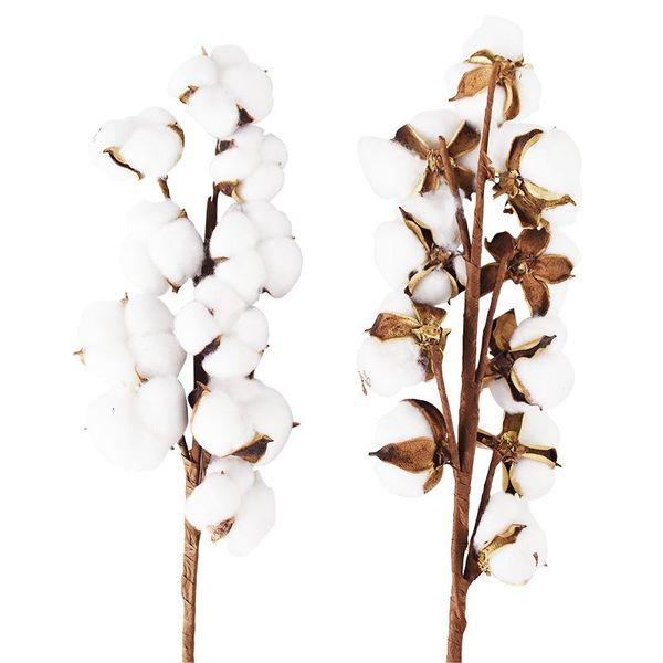 1pcs 50cm 10 head naturally dried cotton flowers artificial plants floral branch for home wedding party decoration fake flowers
1pcs 50cm 10 head naturally dried cotton flowers artificial plants floral branch for home wedding party decoration fake flowers