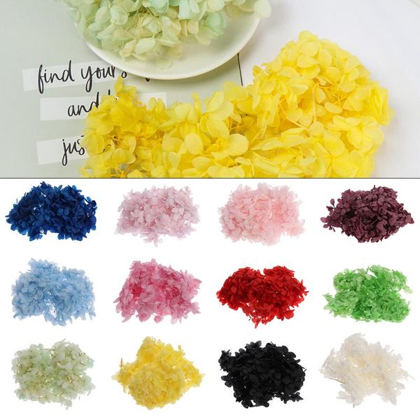 decorative flowers & wreaths 10g/pack natural fresh preserved dried hydrangea flower head for diy real eternal life material crafts
decorative flowers & wreaths 10g/pack natural fresh preserved dried hydrangea flower head for diy real eternal life material crafts