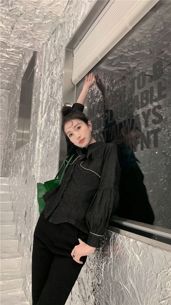 2021 new reflective cotton black long button up women lantern sleeve and blouses tunic collar shirt fashion 4yml, White
2021 new reflective cotton black long button up women lantern sleeve and blouses tunic collar shirt fashion 4yml, White