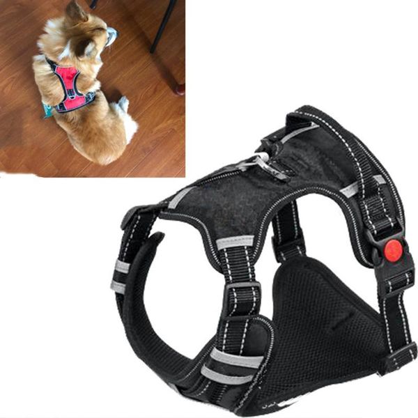 dog collars & leashes nylon heavy duty pet harness collar adjustable padded extra big large medium small harnesses vest husky dogs supplies
dog collars & leashes nylon heavy duty pet harness collar adjustable padded extra big large medium small harnesses vest husky dogs supplies