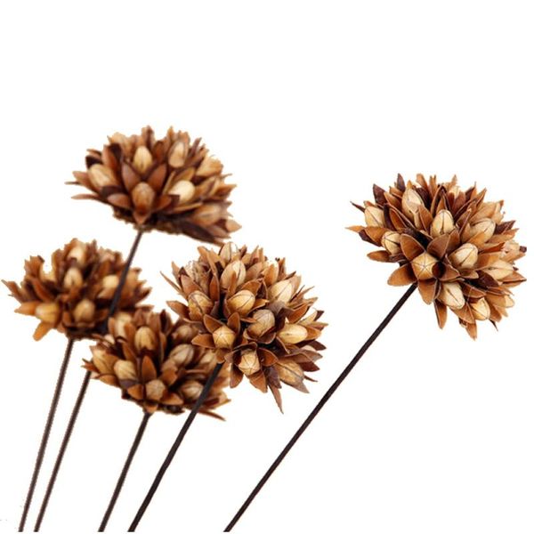 decorative flowers & wreaths 100% natural magnolia dried flower small simulation artificial household dining room decoration
decorative flowers & wreaths 100% natural magnolia dried flower small simulation artificial household dining room decoration