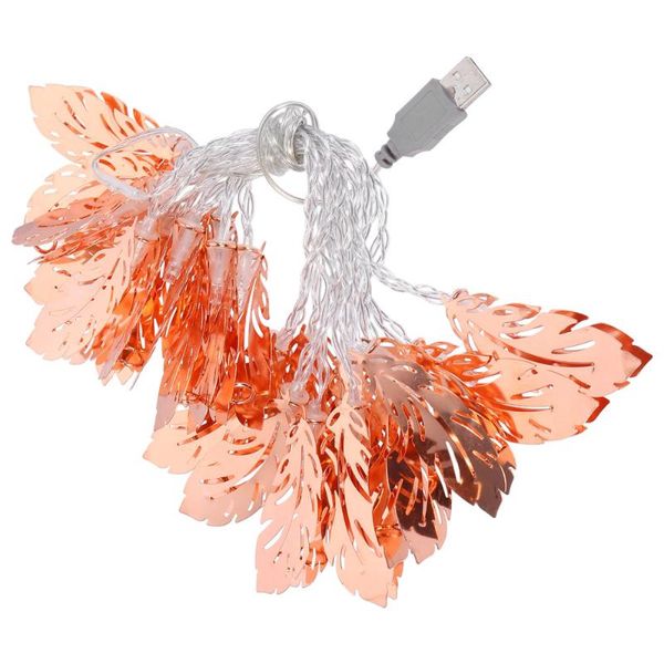 decorative objects & figurines usb string light rose gold metal feather bedroom with battery
decorative objects & figurines usb string light rose gold metal feather bedroom with battery