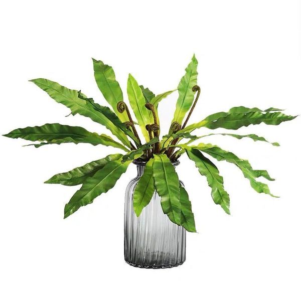decorative flowers & wreaths 9 leaf bird's nest fern simulation tropical plant wedding flower arrangement decoration leaves home bonsai
decorative flowers & wreaths 9 leaf bird's nest fern simulation tropical plant wedding flower arrangement decoration leaves home bonsai
