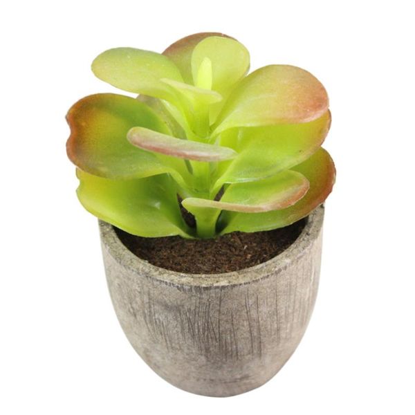 decorative faux succulent artificial succulent fake simulation plants with gray pots
decorative faux succulent artificial succulent fake simulation plants with gray pots