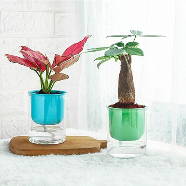 planters & pots to succulents straight creativity transparent automatic water absorption potted plants flowerpot resin
planters & pots to succulents straight creativity transparent automatic water absorption potted plants flowerpot resin