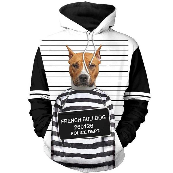 men's hoodies & sweatshirts american staffordshire terrier dog 3d jacket menwomen hip hop boys kawaii hoody casual streetwear punk clot, Black
men's hoodies & sweatshirts american staffordshire terrier dog 3d jacket menwomen hip hop boys kawaii hoody casual streetwear punk clot, Black