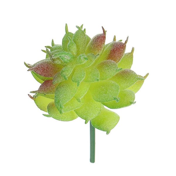 decorative flowers & wreaths 12pcs artificial succulent flocking plants fake succulents home garden cactu lotus unpotted landscape for balco
decorative flowers & wreaths 12pcs artificial succulent flocking plants fake succulents home garden cactu lotus unpotted landscape for balco