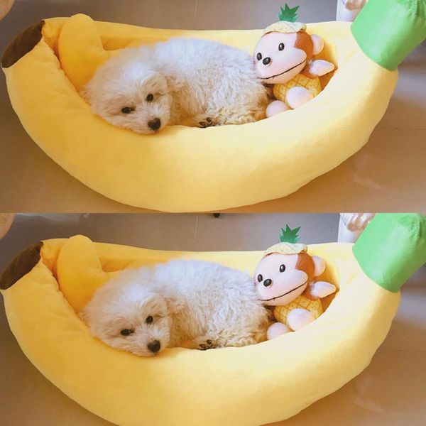 cat beds & furniture banana bed washable pet dog house creative plush small medium large teddy british short cats dogs products for
cat beds & furniture banana bed washable pet dog house creative plush small medium large teddy british short cats dogs products for