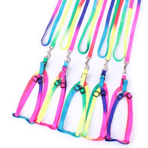 nylon pet cat dog kitten adjustable colorful harness lead leash collar belt kitten halter cats products for cat puppy small dogs
nylon pet cat dog kitten adjustable colorful harness lead leash collar belt kitten halter cats products for cat puppy small dogs