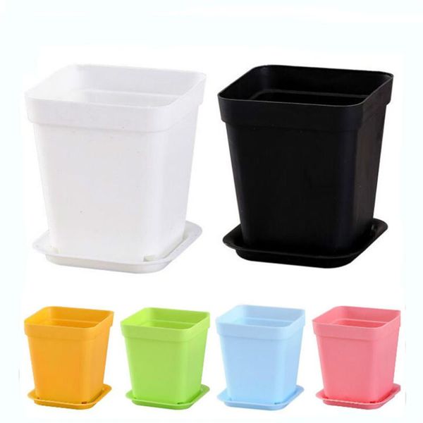 planters & pots 10pcs colorful thick flower macet succulents planter pot with tray set nursery garden square cactus plastic bonsai
planters & pots 10pcs colorful thick flower macet succulents planter pot with tray set nursery garden square cactus plastic bonsai