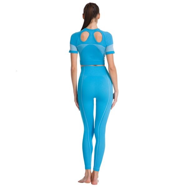 shark gym utra fluorescent short sleeve high waist super elastic pants yoga suit, Gray
shark gym utra fluorescent short sleeve high waist super elastic pants yoga suit, Gray