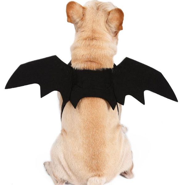 cat costumes animal pet dog bats wing halloween fancy dress costume outfit felt cloth black
cat costumes animal pet dog bats wing halloween fancy dress costume outfit felt cloth black