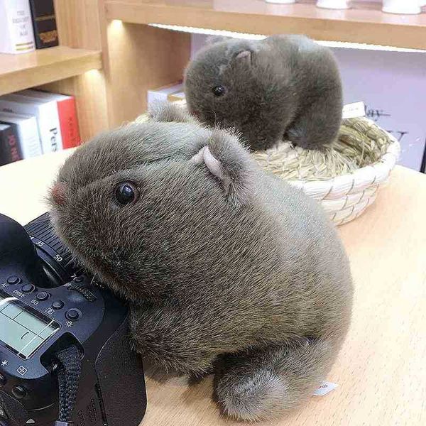 simulated guinea pig hamster doll simulated animal plush doll 
simulated guinea pig hamster doll simulated animal plush doll