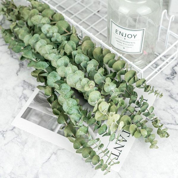 decorative flowers & wreaths diy real natural eucalyptus leaves dried flower wedding decorate stems for home ornaments green decor plant
decorative flowers & wreaths diy real natural eucalyptus leaves dried flower wedding decorate stems for home ornaments green decor plant
