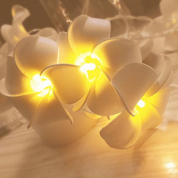 strings frangipani led string light white pink cloth flower floral battery usb eu power holiday plumeria garland xmas decor
strings frangipani led string light white pink cloth flower floral battery usb eu power holiday plumeria garland xmas decor