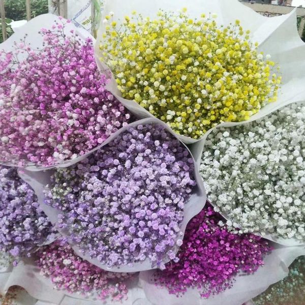 decorative flowers & wreaths gypsophila preserved dried natural fresh paniculata baby's breath flower bouquets gift for wedding decorat
decorative flowers & wreaths gypsophila preserved dried natural fresh paniculata baby's breath flower bouquets gift for wedding decorat