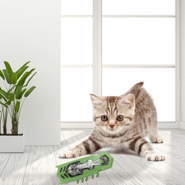 cat toys pet insect simulation electric robot halloween prank insects kids auto flip mouse bugs funny toy
cat toys pet insect simulation electric robot halloween prank insects kids auto flip mouse bugs funny toy