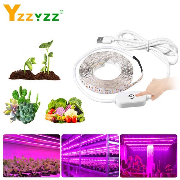 grow lights 2835smd usb touch sensor dimmable full spectrum light led strip phyto lamp for greenhouse hydroponic plant growing
grow lights 2835smd usb touch sensor dimmable full spectrum light led strip phyto lamp for greenhouse hydroponic plant growing