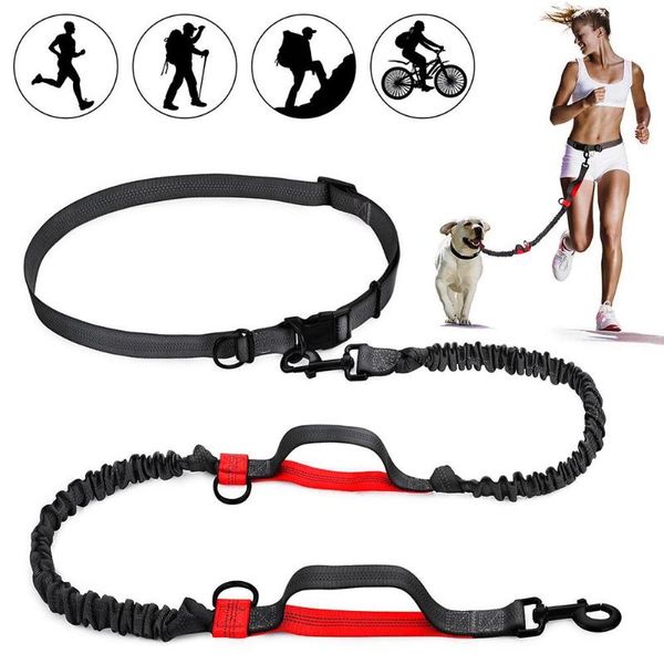 dog collars & leashes pet leash with reflective strip multifunctional stretch traction rope for running walking dogs
dog collars & leashes pet leash with reflective strip multifunctional stretch traction rope for running walking dogs