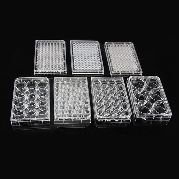 lab supplies 5pcs 6/12/24/48/96/384 hole disposable cell culture plate bacterial enzyme label sterilization packaging tc
lab supplies 5pcs 6/12/24/48/96/384 hole disposable cell culture plate bacterial enzyme label sterilization packaging tc