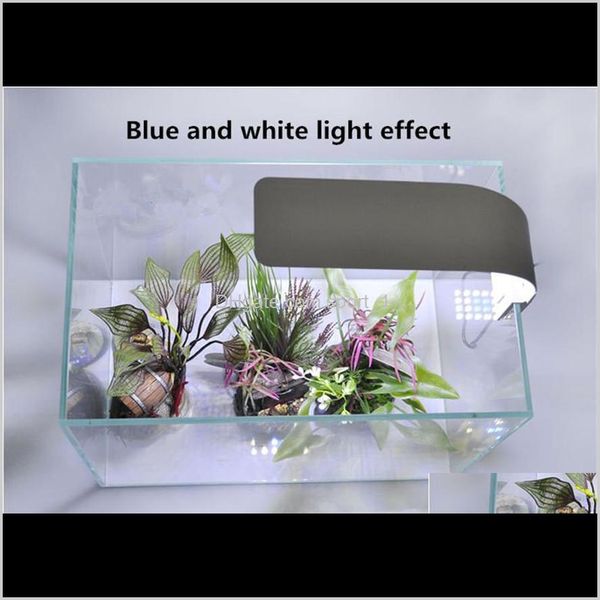super slim 10w led waterproof aquarium light for fish tank aquatic plants grow lighting clip-on lamp eu plug cab qylefc lyqlove
super slim 10w led waterproof aquarium light for fish tank aquatic plants grow lighting clip-on lamp eu plug cab qylefc lyqlove